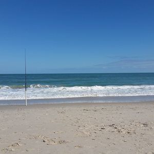 Meet your Posher, Ben